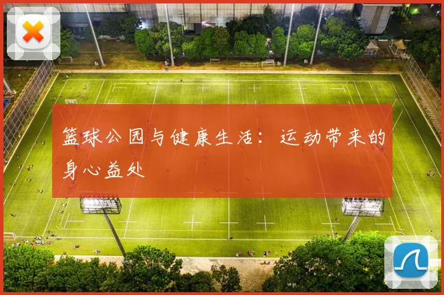 篮球公园与健康生活：运动带来的身心益处