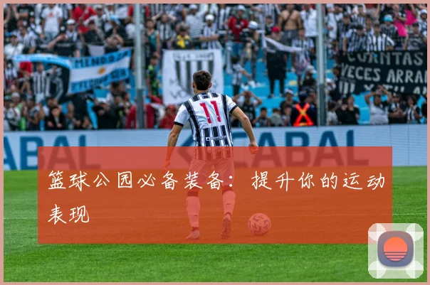 篮球公园必备装备：提升你的运动表现